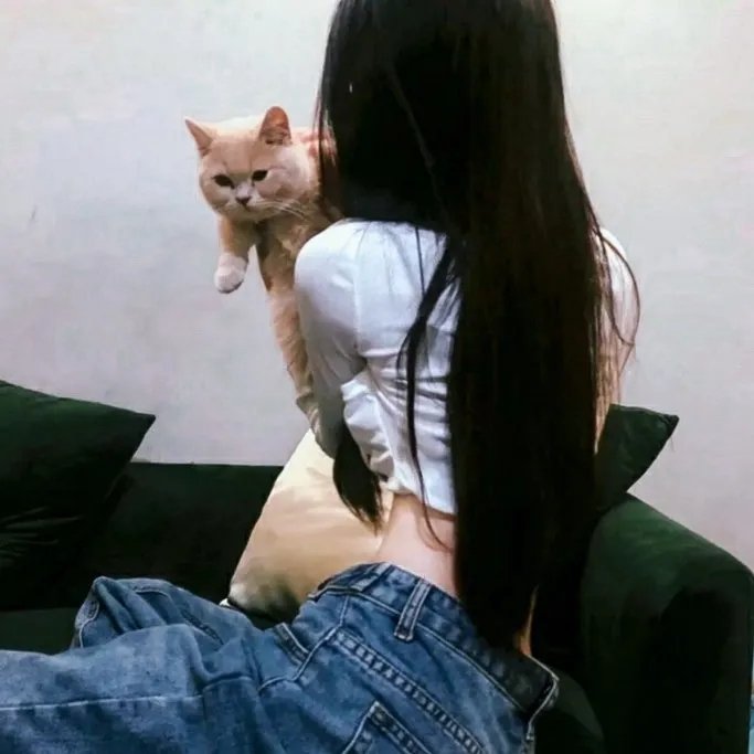 缘份精华游