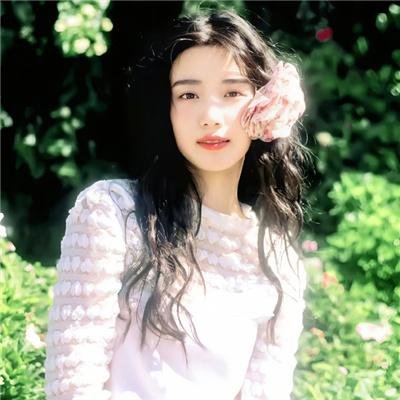 天山的红花